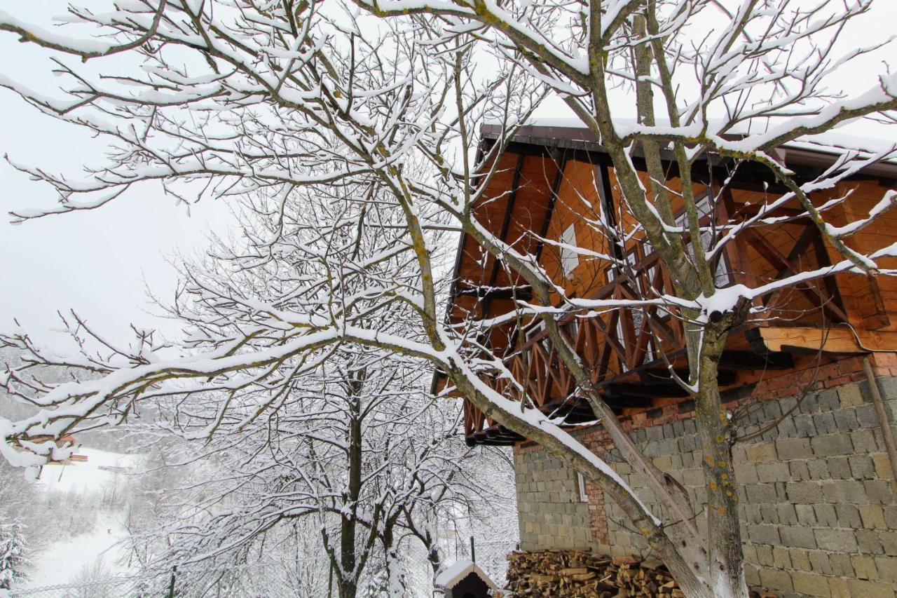 Багрівчанка Apartment Yaremche Exterior photo