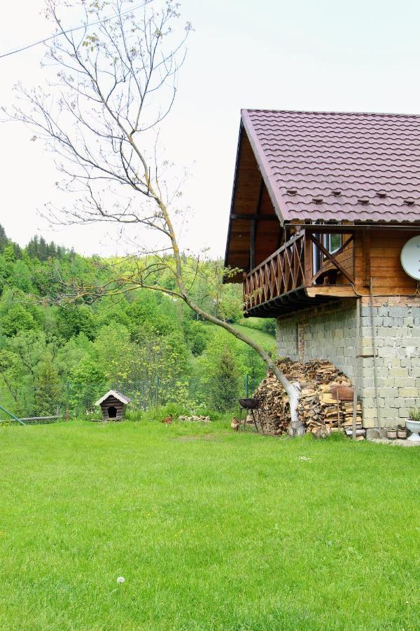 Багрівчанка Apartment Yaremche Exterior photo
