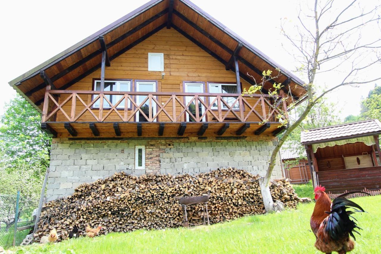 Багрівчанка Apartment Yaremche Exterior photo